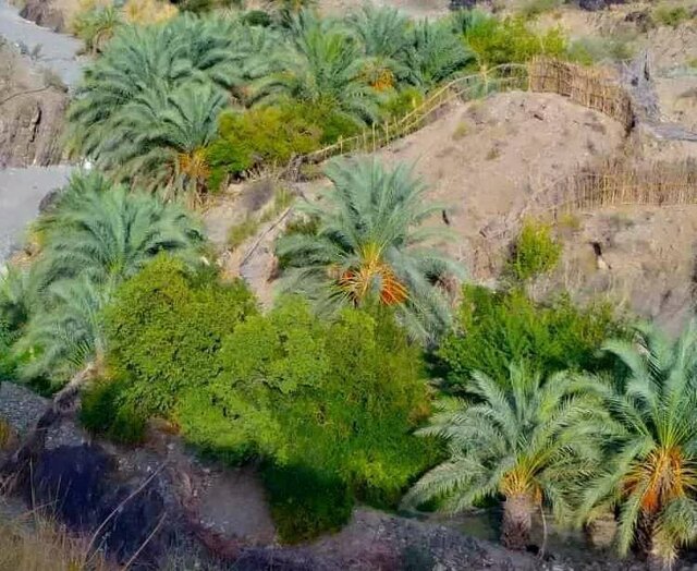 منطقه "گرگان بلوچستان" سرزمین شگفت انگیز باغ های معلق و برکه های فیروزه ای