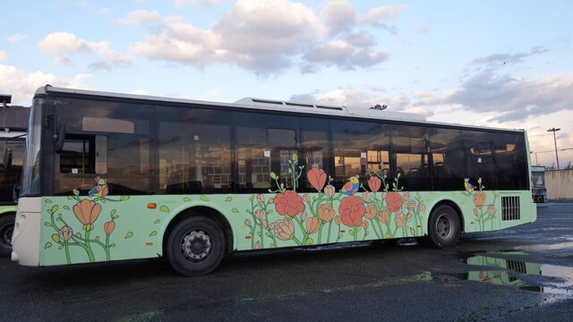 آماده سازی پایتخت در ماه رمضان با کمک نشانههای نوروزی/ ترکیب هنر و نور در بهار قران و طبیعت