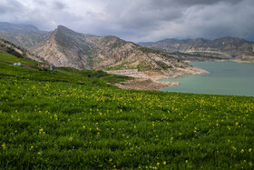 طبیعت بهاری در سدِ ایلام