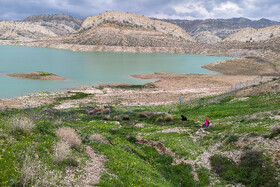 طبیعت بهاری در سدِ ایلام