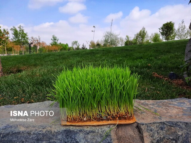 منطقه ۲۲ تهران برای میزبانی از گردشگران نوروزی در روز طبیعت آماده می‌شود