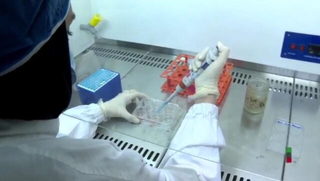 کشت موفق نمونه‌های سلولی حیات وحش در مرکز ملی ذخایر ژنتیکی و زیستی جهاددانشگاهی