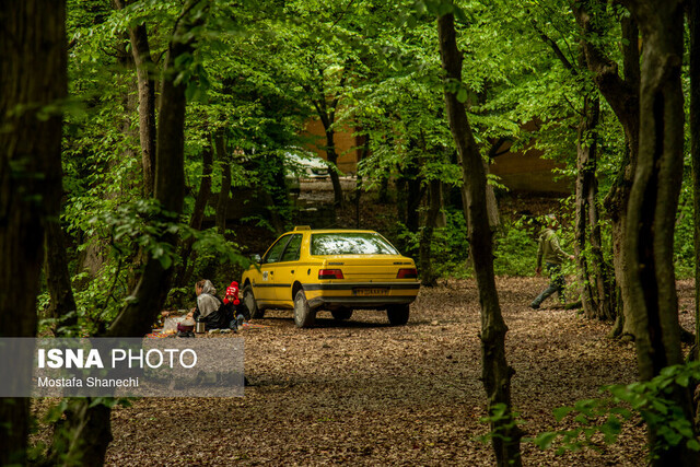 حفظ محیط زیست از ارتقای فرهنگ عمومی حاصل میشود