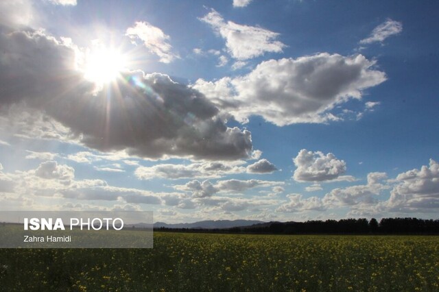 بهار در مزارع کلزای خوسف