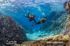 آموزش غواصی در کیش