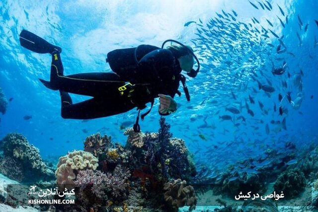 غواصی در کیش