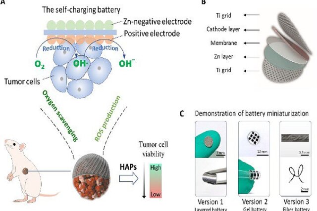 دانشمندان چینی برای نابودی تومورها یک باتری قابل کاشت طراحی کردند