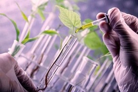 جذب نیروی امریه در مرکز ملی ذخایر ژنتیکی