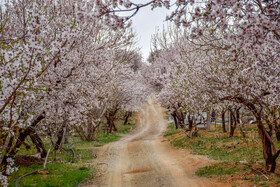 بهاریه‌هایی برای بچه‌ها