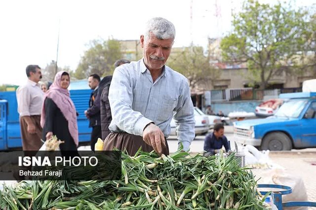 جشنواره غذاهای محلی روانسر برگزار میشود جشنواره غذاهای محلی روانسر برگزار میشود