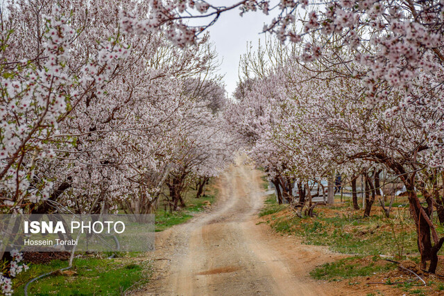 بهاریههایی برای بچهها بهاریههایی برای بچهها