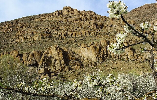 هیر؛ شهر باغهای بهشتی