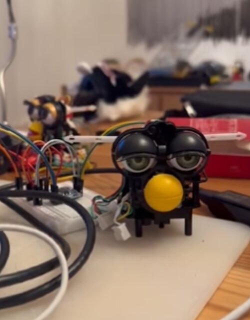 یک عروسک پس از اتصال به «ChatGPT» نقشه تسخیر جهان را کشید!