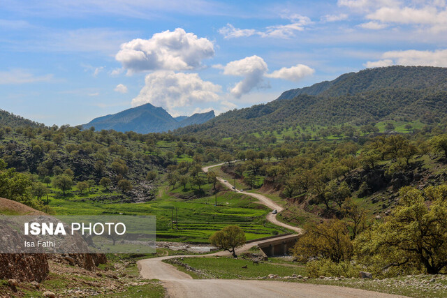 طبیعت بهاری بخش چاروسا در شهرستان کهگیلویه