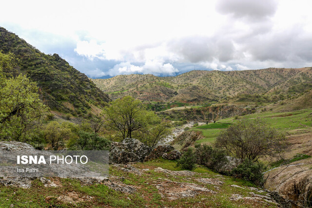 طبیعت بهاری بخش چاروسا در شهرستان کهگیلویه