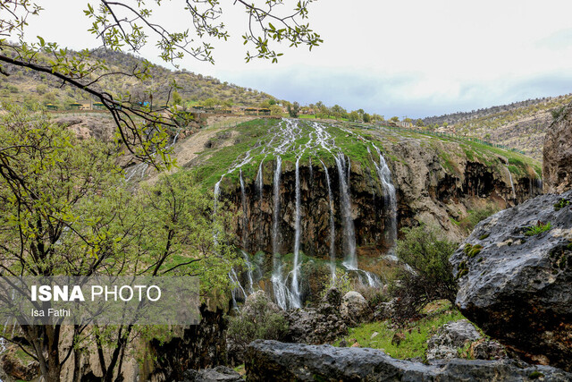 طبیعت بهاری بخش چاروسا در شهرستان کهگیلویه