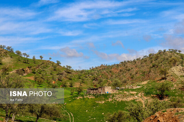 طبیعت بهاری بخش چاروسا در شهرستان کهگیلویه