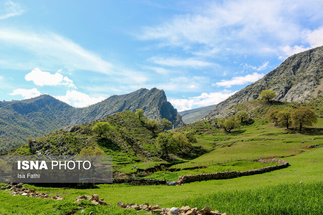 طبیعت بهاری بخش چاروسا در شهرستان کهگیلویه