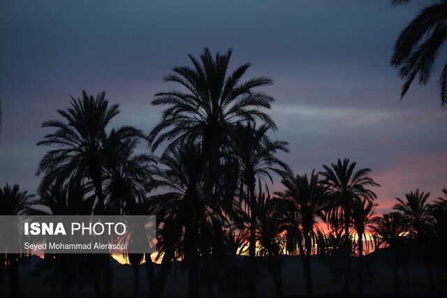 یک آرامش ماجراجویانه در ریگ یلان