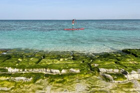 تنوع پستانداران آبزی در آب‌های اطراف جزیره مارو هرمزگان بسیار زیاد است. به همین دلیل این جزیره مرجانی تحت حفاظت سازمان محیط زیست ایران قرار دارد. جالب است بدانید که حتی سازمان ملی حفاظت از منابع طبیعی، یعنی IUCN نیز از این منطقه محافظت می‌کند.