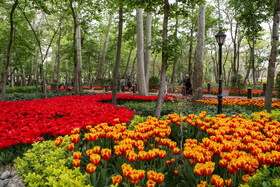 تدوین نخستین طرح جامع فضای سبز پایتخت/ تهیه شناسنامه برای ۲۷۵ هکتار از باغات تهران
