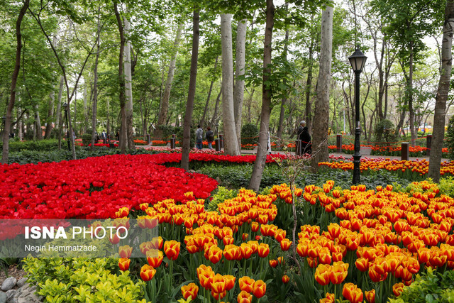 تدوین نخستین طرح جامع فضای سبز پایتخت/ تهیه شناسنامه برای ۲۷۵ هکتار از باغات تهران