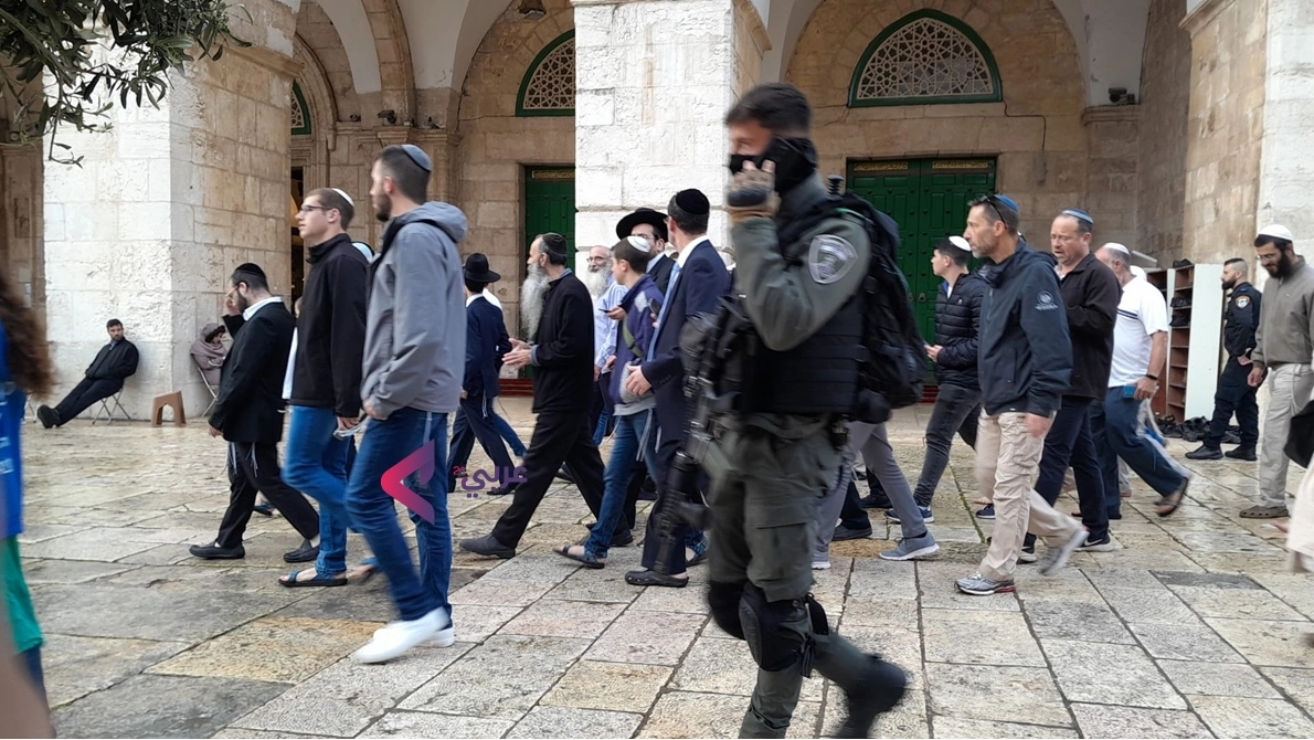 تعرض مجدد شهرکنشینها به مسجدالاقصی تحت تدابیر امنیتی پلیس اسرائیل