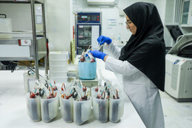 نذر خون در شب قدر – قزوین