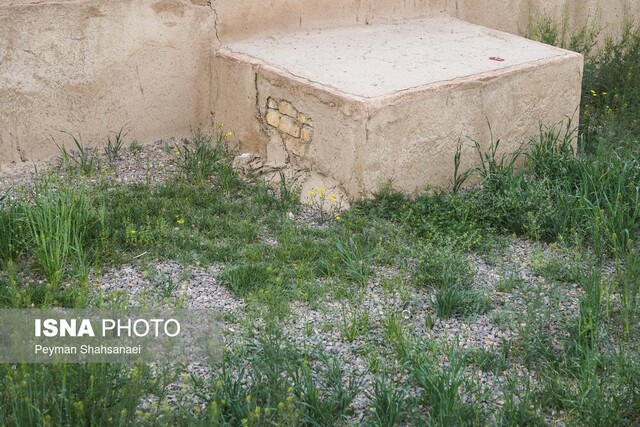 وقتی که محوطه کاخ صفوی جهاننما علفزار میشود!