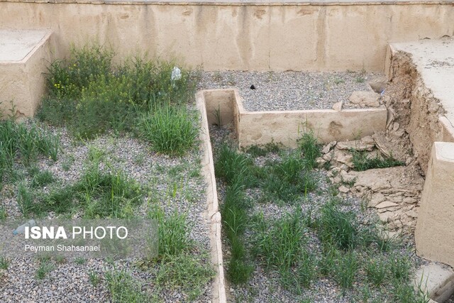 وقتی که محوطه کاخ صفوی جهاننما علفزار میشود!