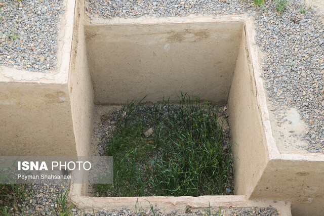 وقتی که محوطه کاخ صفوی جهاننما علفزار میشود!