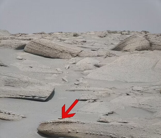 مریخنورد «کنجکاوی» یک ساختار عجیب را در مریخ کشف کرد