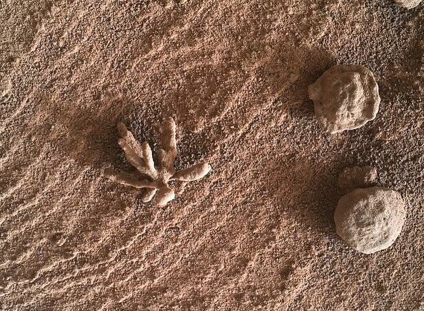 مریخنورد «کنجکاوی» یک ساختار عجیب را در مریخ کشف کرد