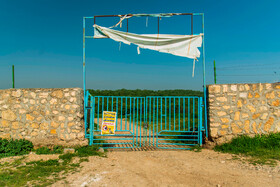 محل ورود سایت زباله نکا در جنگلهای اطراف روستای زرندین