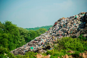 جنگلهای اطراف روستای زرندین نکا به علت نزدیکی به محل دپو زباله در معرض جدی تخریب محیط زیستی قرار دارند.