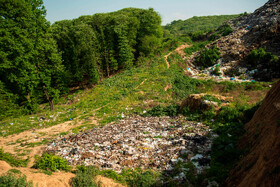 جنگل‌های زباله زده اطراف روستای زرندین نکا