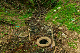 محل خروج شیرابه از دپو زباله نکا به جنگلهای اطراف روستای زرندین نکا