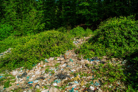 زبالههای محل دپو همجوار با جنگلهای بسیار زیبا و سرسبز مازندران که درختانی نظیر بلوط و ممرز و... قرار دارد.