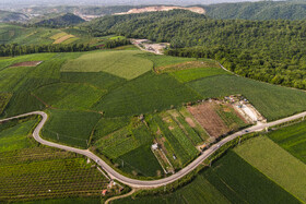 مسیر تردد ماشینهای حمل زباله به سمت جنگلهای اطراف روستای زرندین نکا