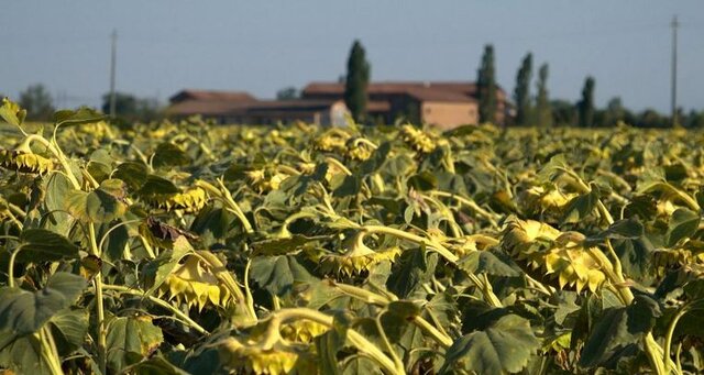 آب؛ بحران جهانی هزاران میلیارد دلاری