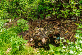 شیرابههای خارج شده از محل دپو زباله