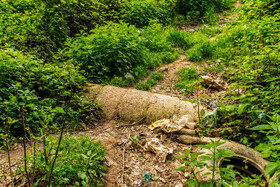 لوله‌های بتنی که راه خروج شیرابه به سمت جنگل است.