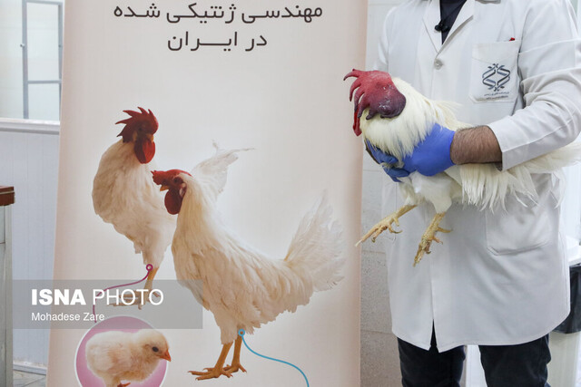 فناوریهای نوینی که به علت عدم حمایت نمیتوانند مشکلی از کشور حل کنند