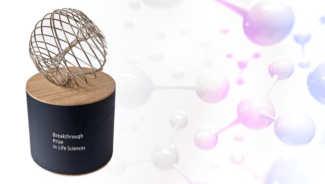 هالیوودیها جایزه «مرزهای نو مریم میرزاخانی» را اهدا کردند