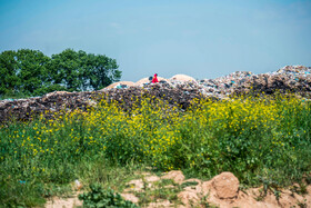 سایت دپو زباله نکا به دو بخش شهری و روستایی تقسیم میشود و مدیریت آنها بصورت جداگانه صورت میگیرد.