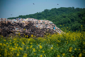 زباله و شیرابههای حاصل از آن، موجب آفت زدگی درختان اطراف محل دپو میشود و درختان اصیل جنگلهای مازندران در معرض خطر خشک شدن هستند.