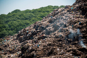 همجواری سایت زباله نکا با جنگلهای سرسبز مازندران.