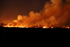 آتش‌سوزی در بخش نیزارهای خشک تالاب میقان اراک  بر اثر صاعقه