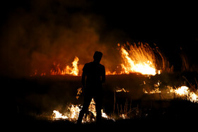 آتشسوزی در بخش نیزارهای خشک تالاب میقان اراک  بر اثر صاعقه