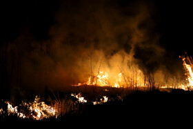 آتشسوزی در بخش نیزارهای خشک تالاب میقان اراک  بر اثر صاعقه